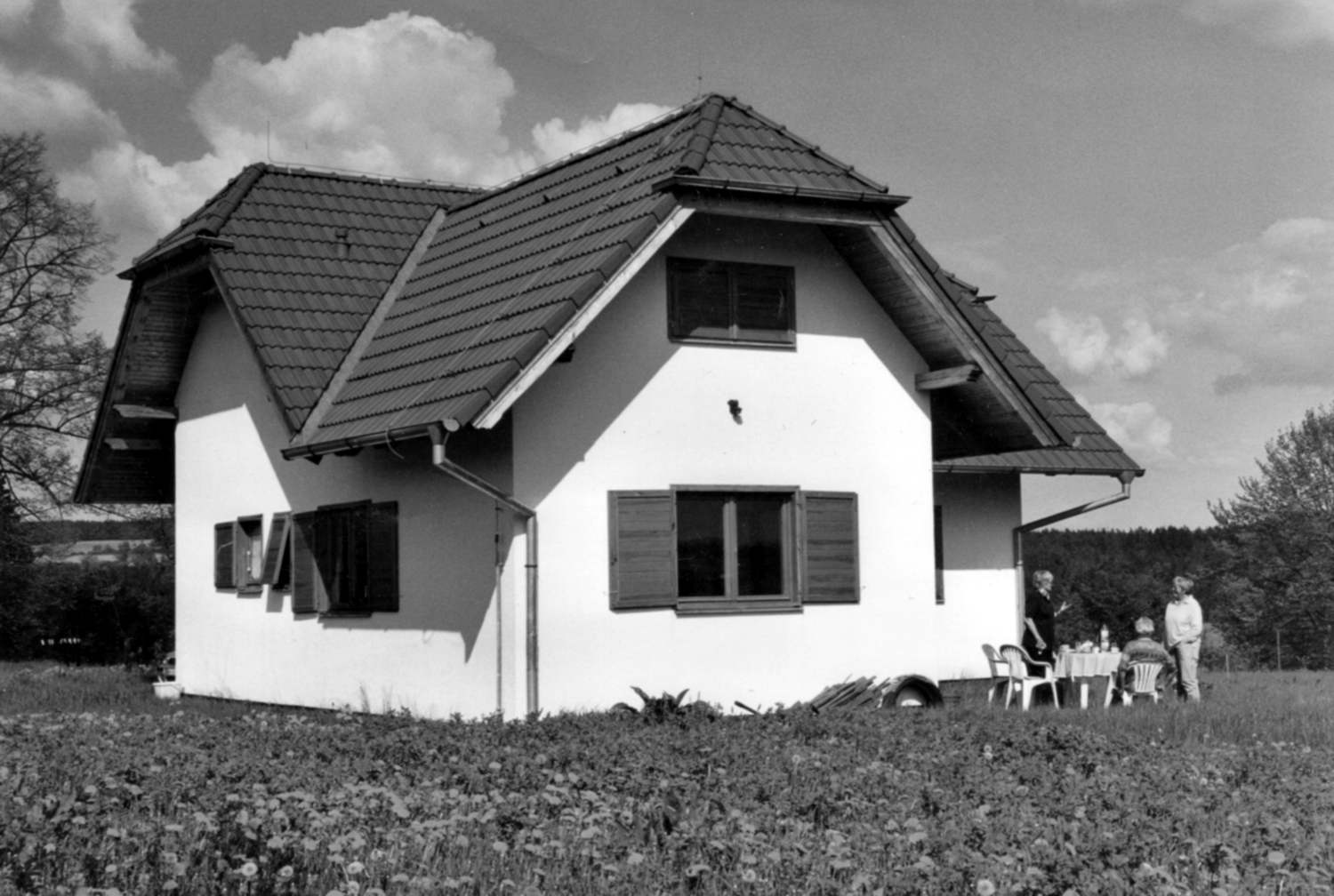 House in Ostrov